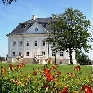 Hotel Pałac Borynia